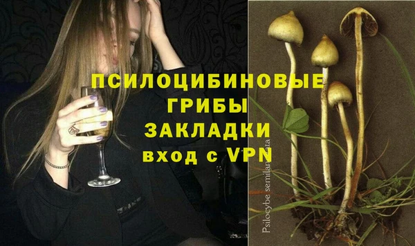 спайс Абинск