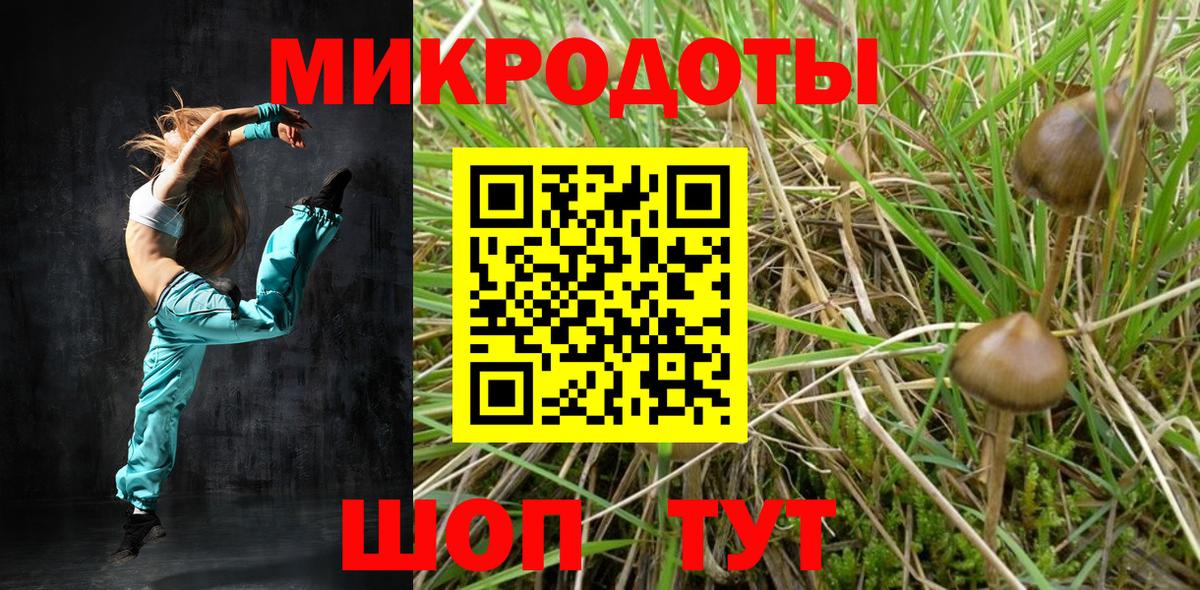 Псилоцибиновые грибы GOLDEN TEACHER Вичуга