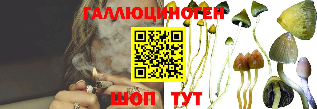 Псилоцибиновые грибы ЛСД  Вход с VPN  Вичуга 