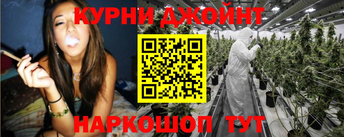 Канабис конопля Вичуга